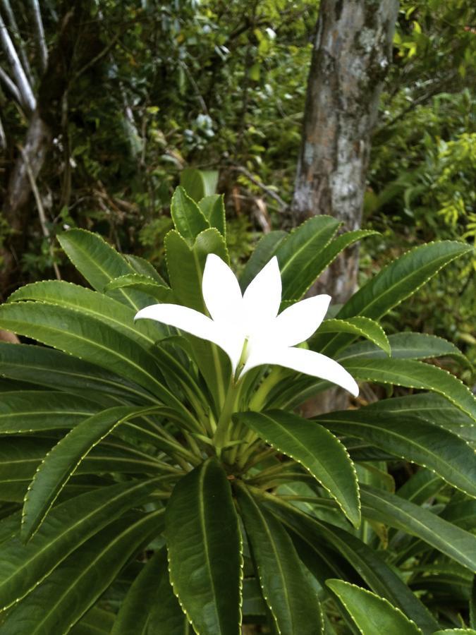 Island Home Uturoa 外观 照片