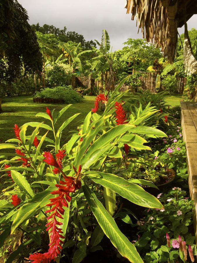 Island Home Uturoa 外观 照片